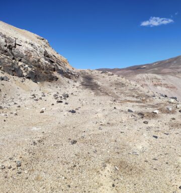 Toro oxidized mineralization